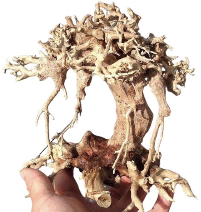 Wholesale Driftwood Grade Different Size Natural Wood Aquarium Decoration From VietNam