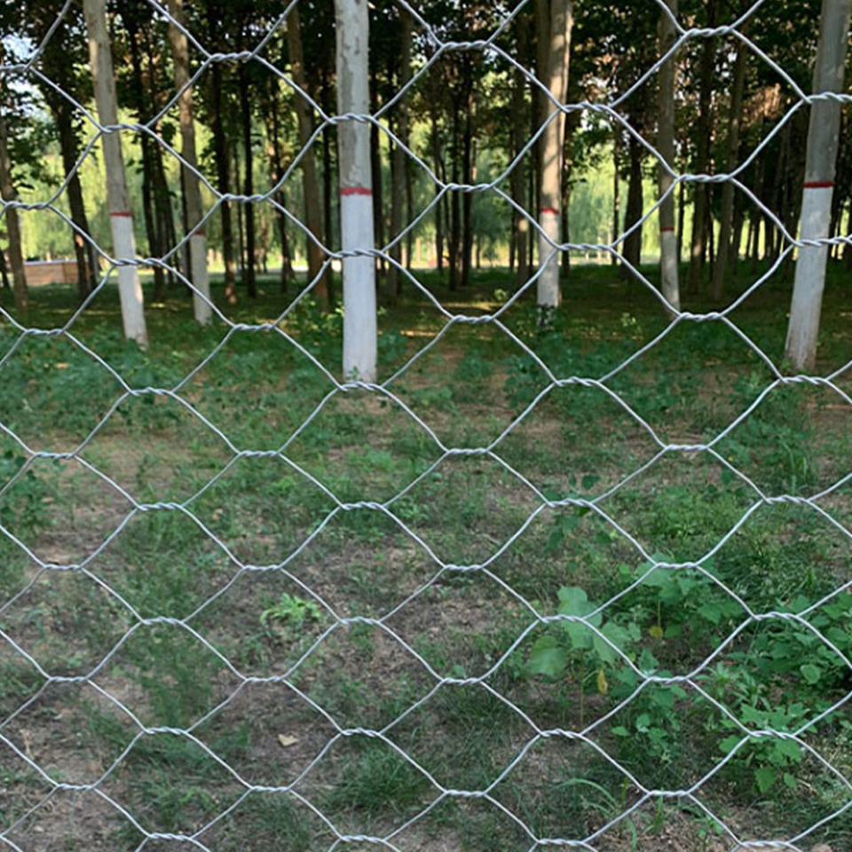 BOCN Direct Manufacturer Hex Chicken Wire Mesh Chicken Wire Netting Green PVC Coated Hexagonal Wire Mesh with Factory Price