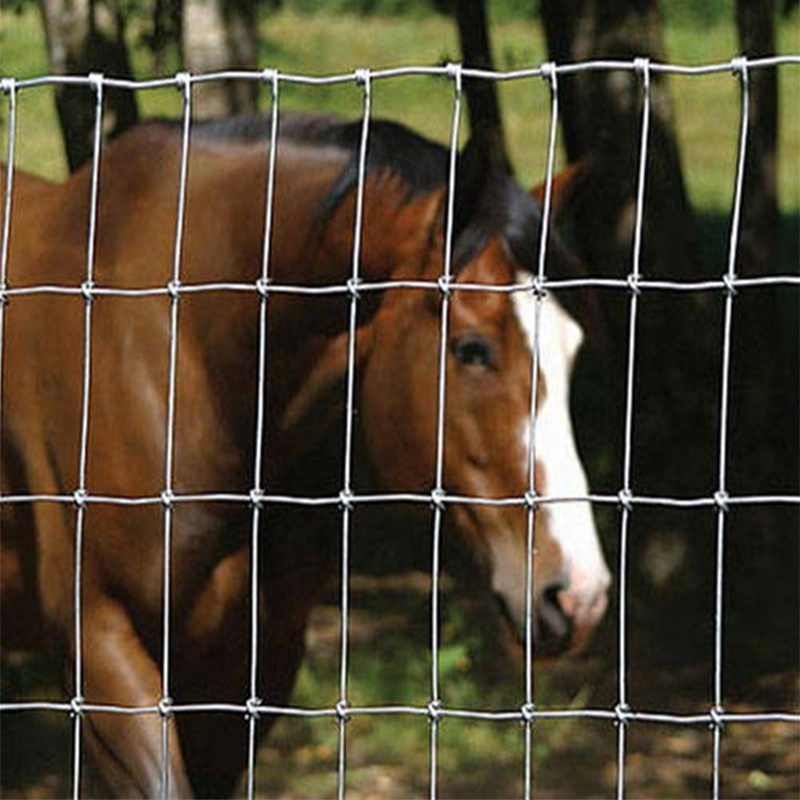 BOCN Cheap 8' fixed knot galvanized goat sheep hog game wire field deer farm fencing for goat