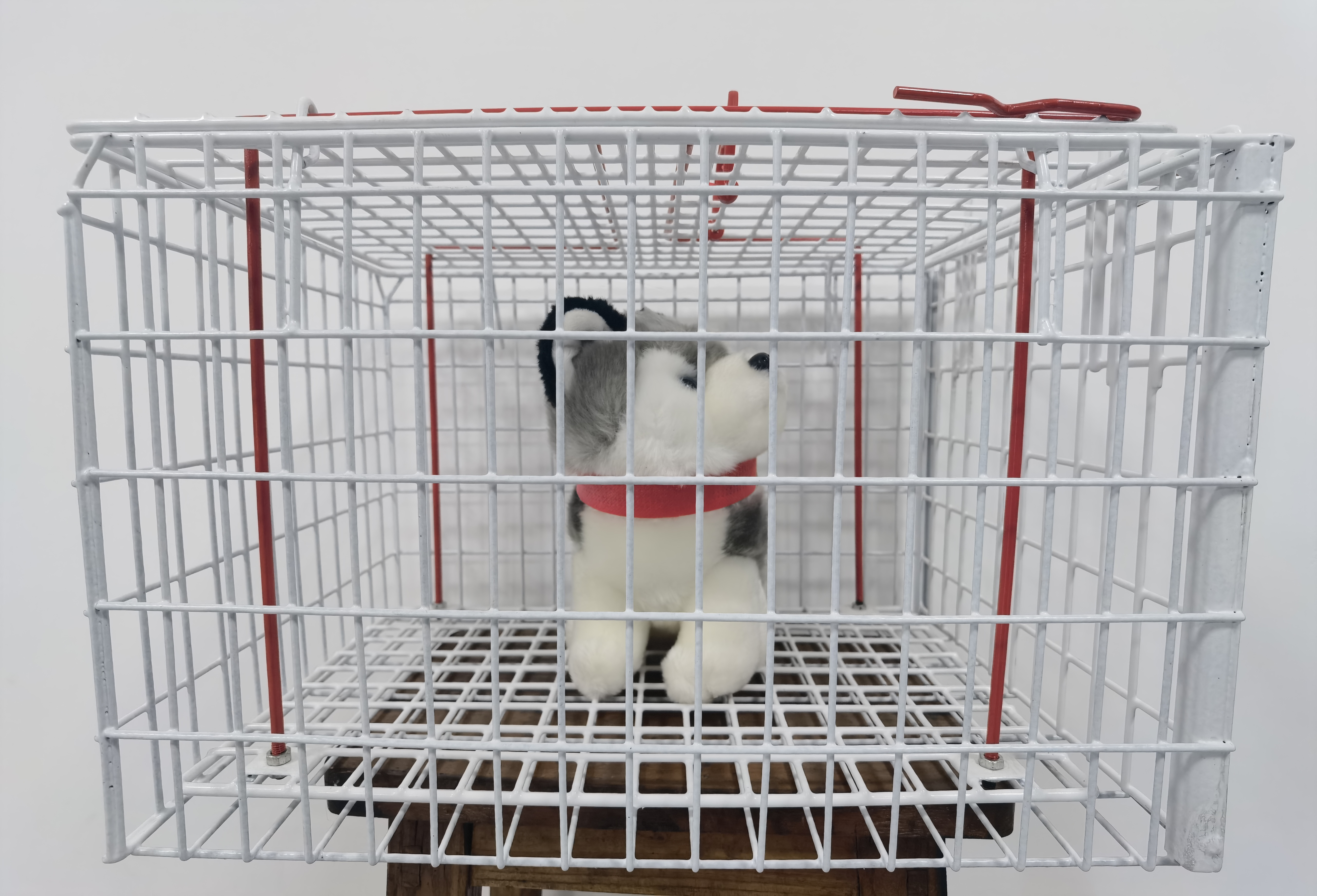 Wholesale  hot selling high quality cat bath cage Pet bath cage prevent scratching and biting