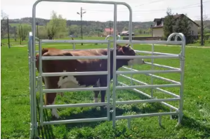 Portable Farm Livestock Panel Galvanized Horse Cattle Fence Panel