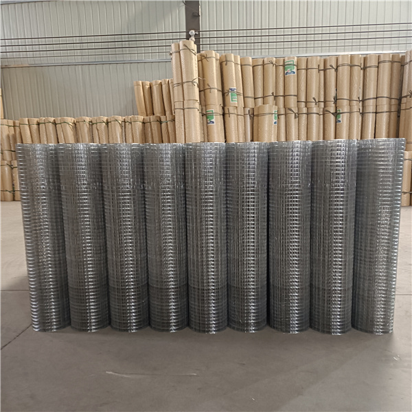 Anping Tailong  galvanized wire mesh wire fence roll