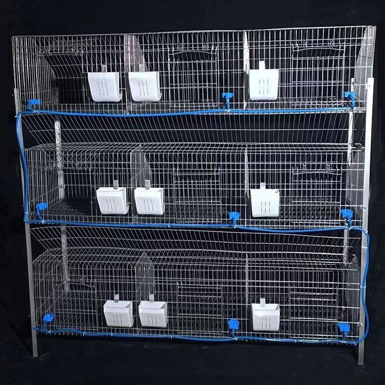 Ce certificated powder coated galvanized wire mesh commercial rabbit cages