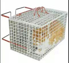 Metal Large Pigeon Rabbit Stainless Steel Cat injection cage cruse cage