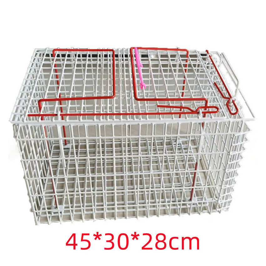 Power coated 4mm wire mesh square hole  portable veterinary metal cat injection cage