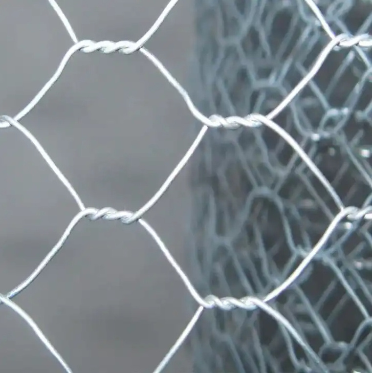 Hexagon Metal Steel Chicken Wire Mesh Hexagonal Wire Netting