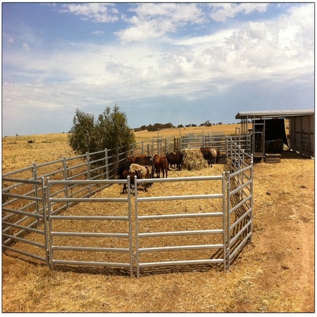 Wholesale Bulk Livestock Cattle Panels Cattle Livestock Panel