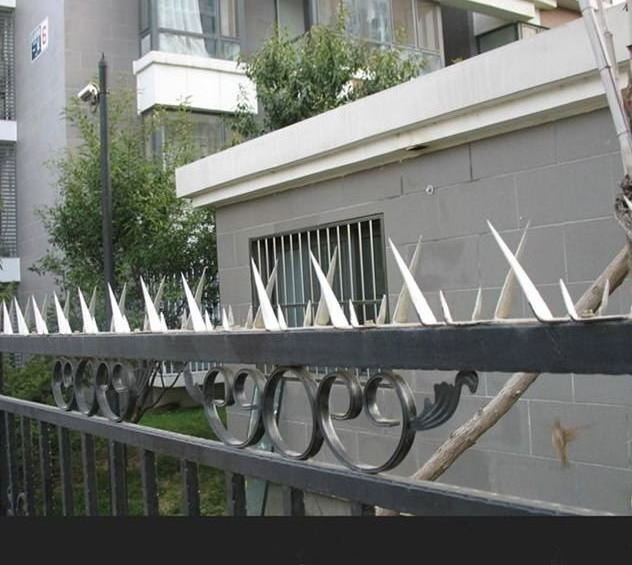 High Quality and Best Price Security Wall Spikes/Metal Fence Spikes Anti Climb Wall