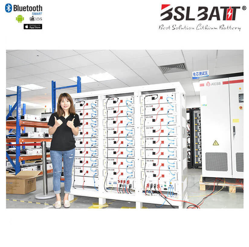 BSLBATT lithium ion batteries 12v 24v 48v 100ah solar battery for home. 24v 100ah