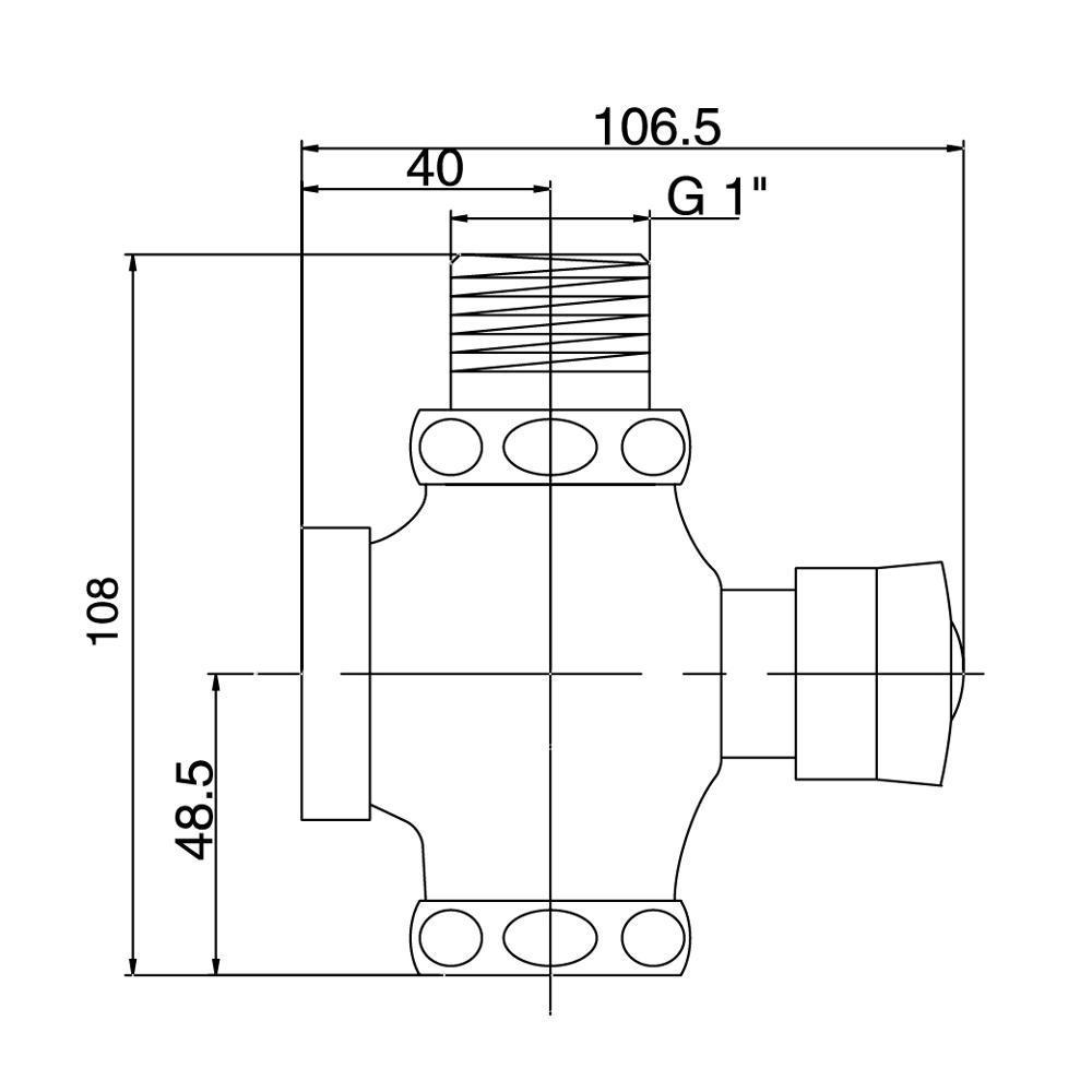 Chrome Plated Full Brass Self Closing Flush Valve for toilet Flushometer