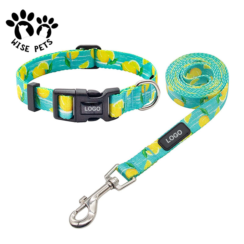 Wholesale dog leash manufacturers heat transfer printed pet training lead nylon slip sublimation dog collars and leashes for dog