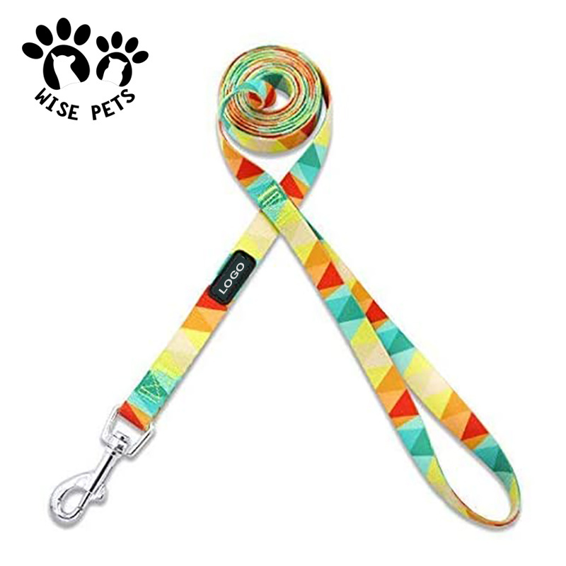 Wholesale dog leash manufacturers heat transfer printed pet training lead nylon slip sublimation dog collars and leashes for dog