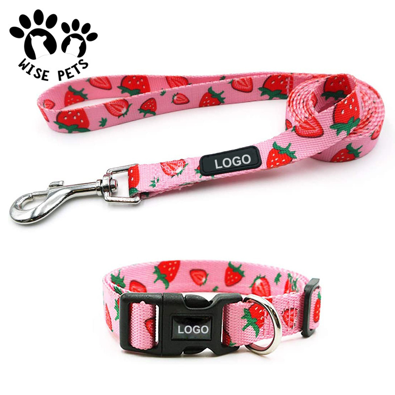 Wholesale dog leash manufacturers heat transfer printed pet training lead nylon slip sublimation dog collars and leashes for dog