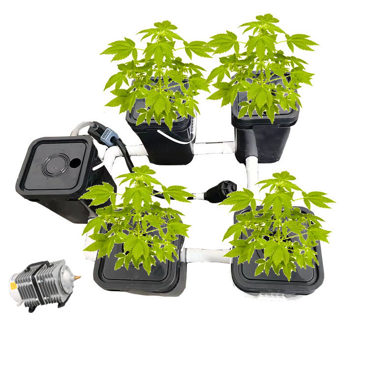 Rdwc Top Sale Pvc Plastic RDWC Hydroponic Indoor Hydroponic Growing Dutch Bucket System Manufacturer