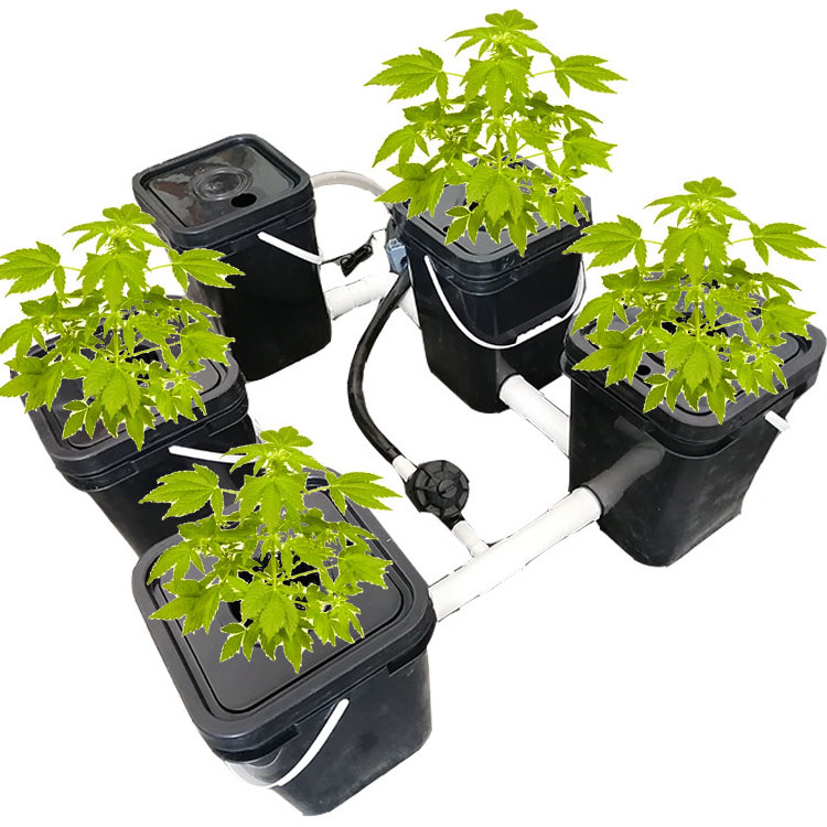 Rdwc Top Sale Pvc Plastic RDWC Hydroponic Indoor Hydroponic Growing Dutch Bucket System Manufacturer