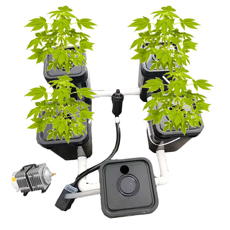 Rdwc Top Sale Pvc Plastic RDWC Hydroponic Indoor Hydroponic Growing Dutch Bucket System Manufacturer