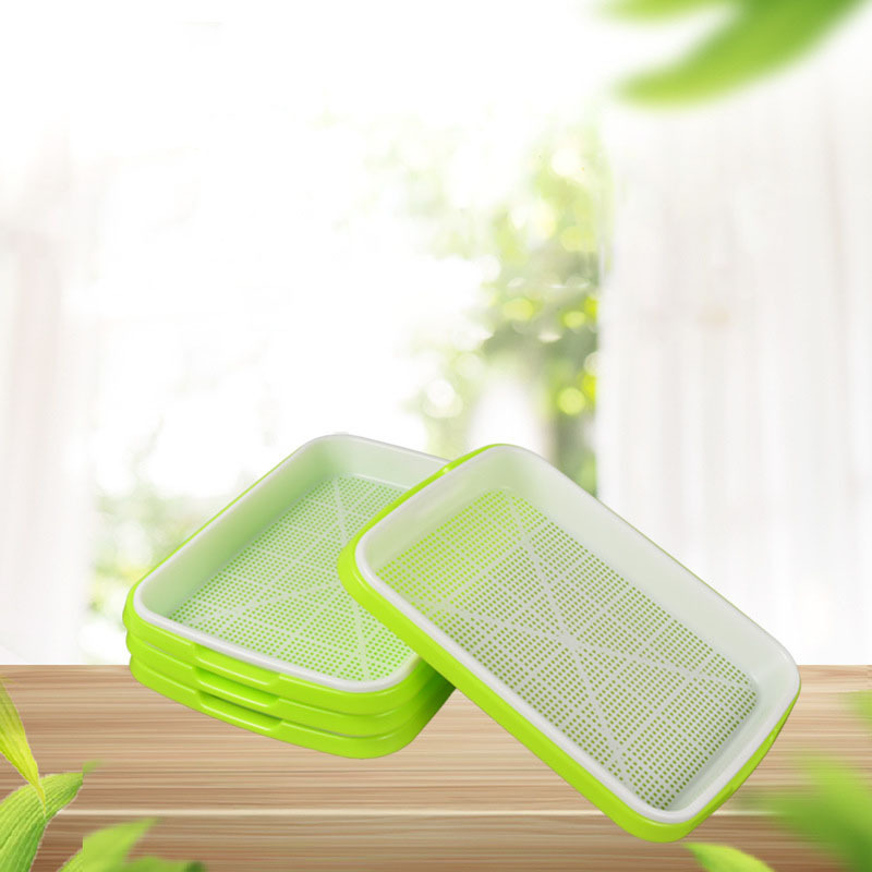 Bean Sprout Plate Household Seedling Pot Seedling Planting Plate Sprout Vegetable Seedling Tray Wholesale