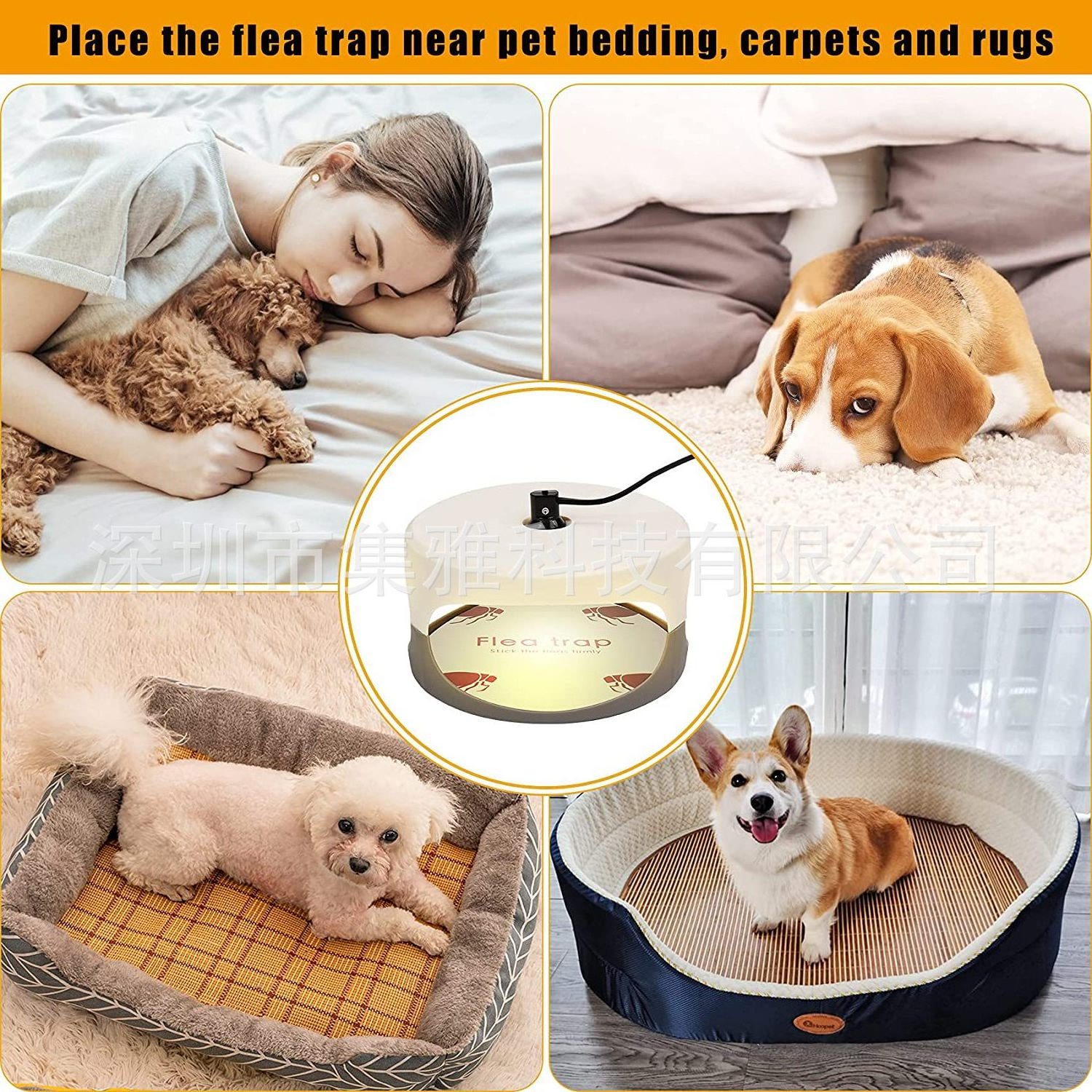 PC120 Seicosy Flea Trap Sticky Bed Bug Flea Traps Indoor Pest Control Insect Killer with 4 Sticker and 6 Light Bulbs