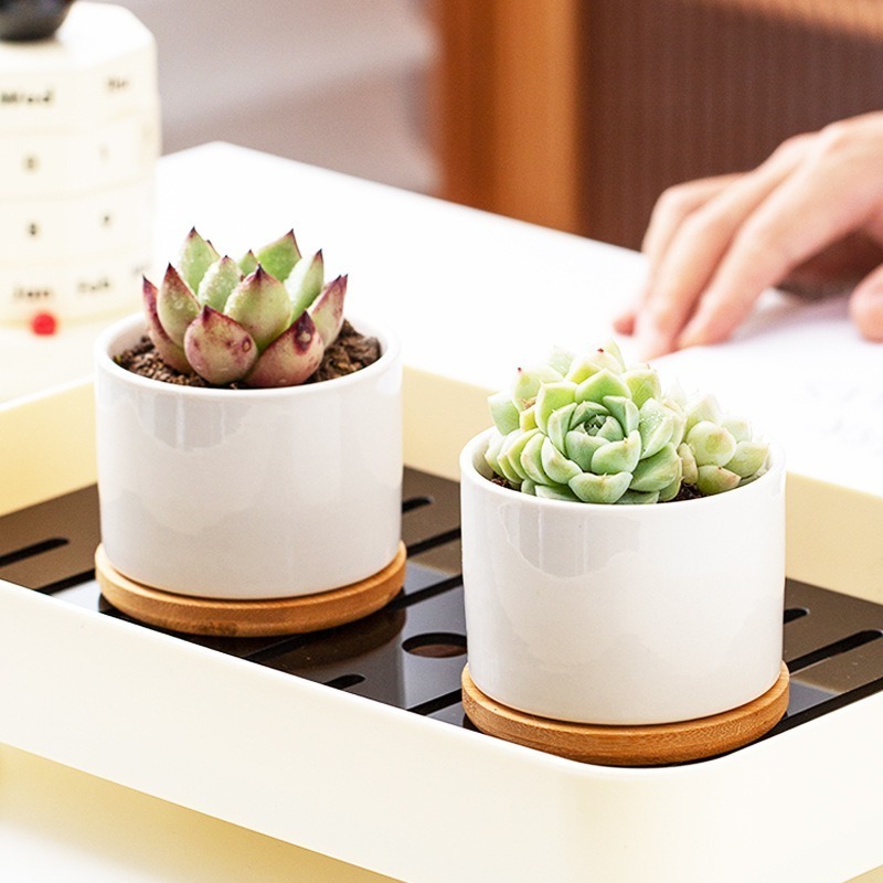 FP017 Sublimation Blank Coated Custom Succulent Planter Ceramic Flower Planter Pot with Bamboo Tray Desk Flowerpot in Bulk