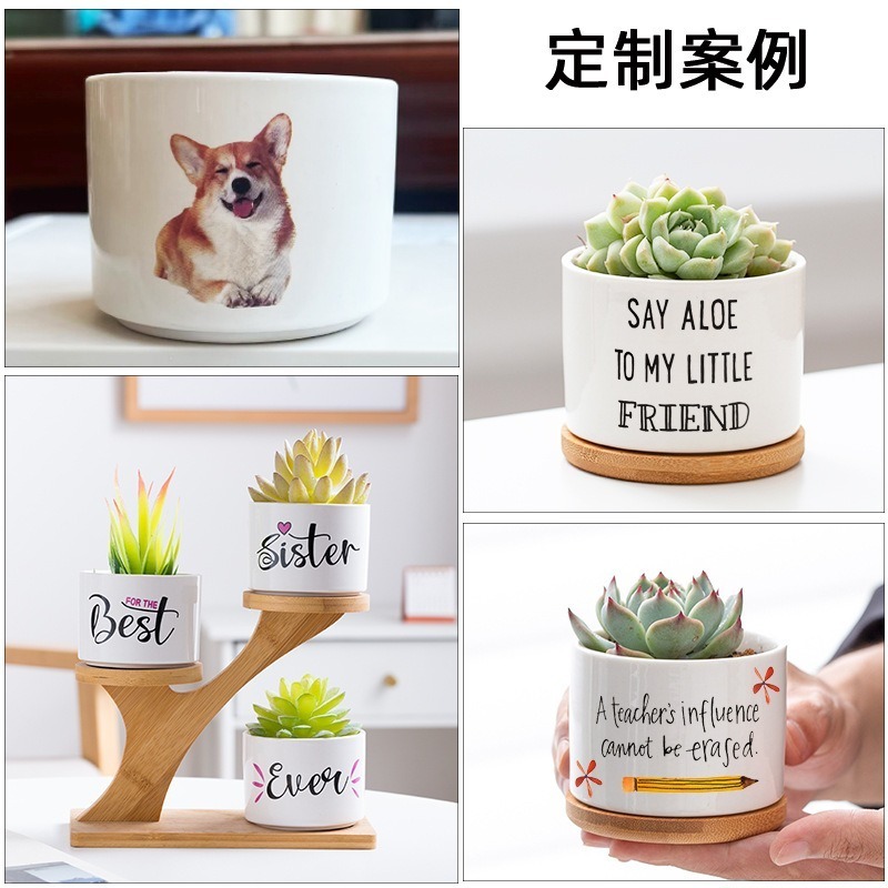 FP017 Sublimation Blank Coated Custom Succulent Planter Ceramic Flower Planter Pot with Bamboo Tray Desk Flowerpot in Bulk