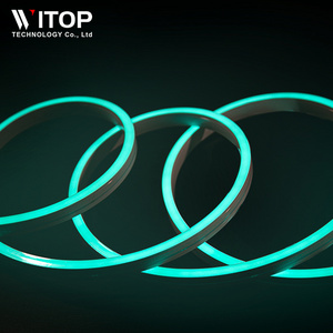 Customized RGB Light Neon Rope 12V IP65 IP67 IP68 Indoor Outdoor Flat Led Neon Flex 12V