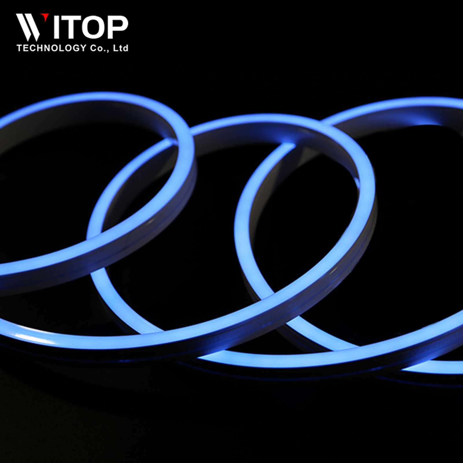 Customized RGB Light Neon Rope 12V IP65 IP67 IP68 Indoor Outdoor Flat Led Neon Flex 12V