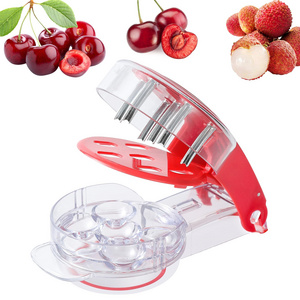 Cherry Pitter Tool Pit Remover Push-Pull Six Hole Seed and Olive Date Quick Pit Remover Easy to Use