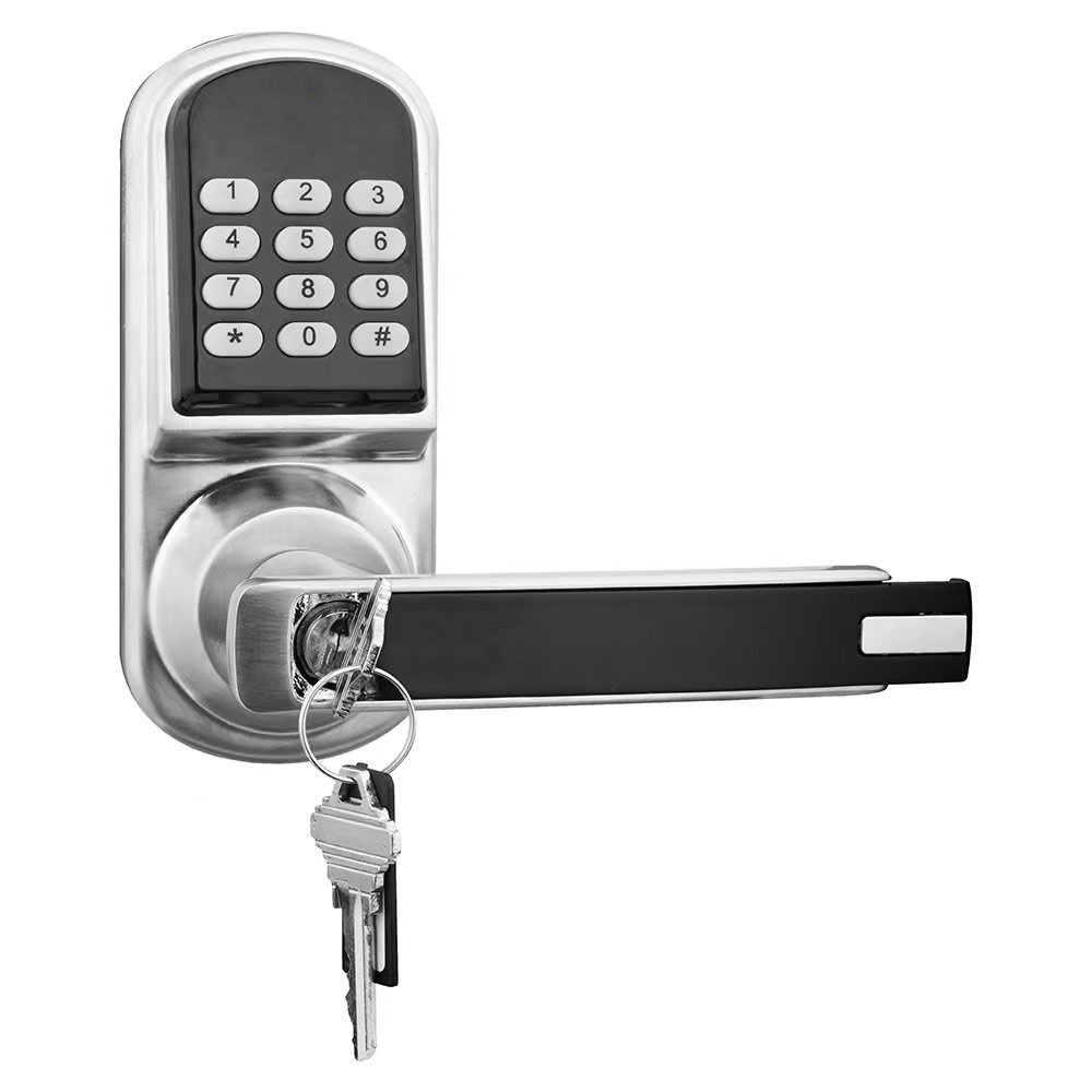 Top Quality High Technology Keyless Smart Door Handle Lock