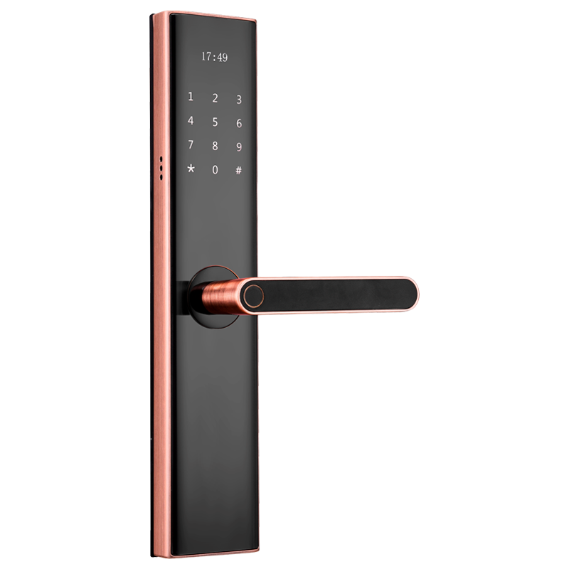 Tuya Wifi Electronic Smart Door Lock With Camera Door Lock Thumbprint Quincaillerie Materiel