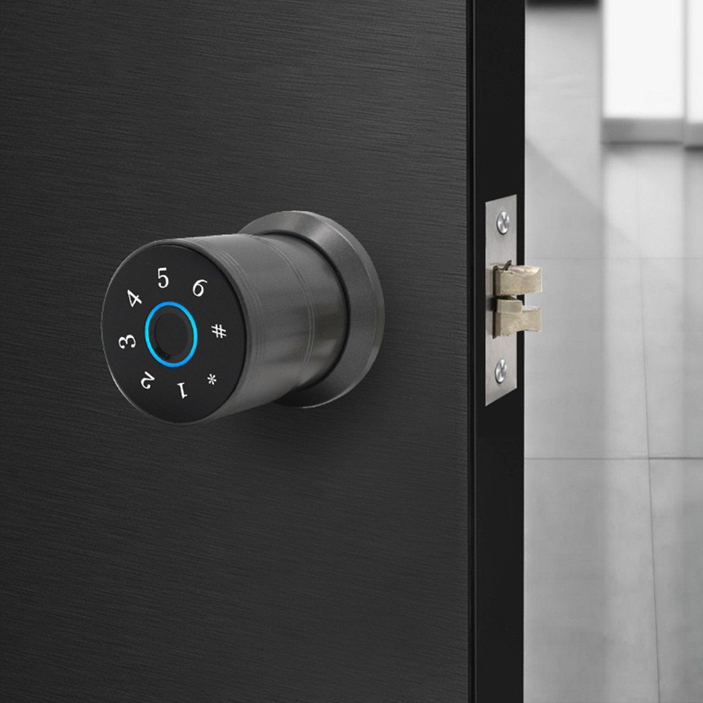 smart door lock deadbolt cerradura inteligente fingerprint keyless smart door handle lock