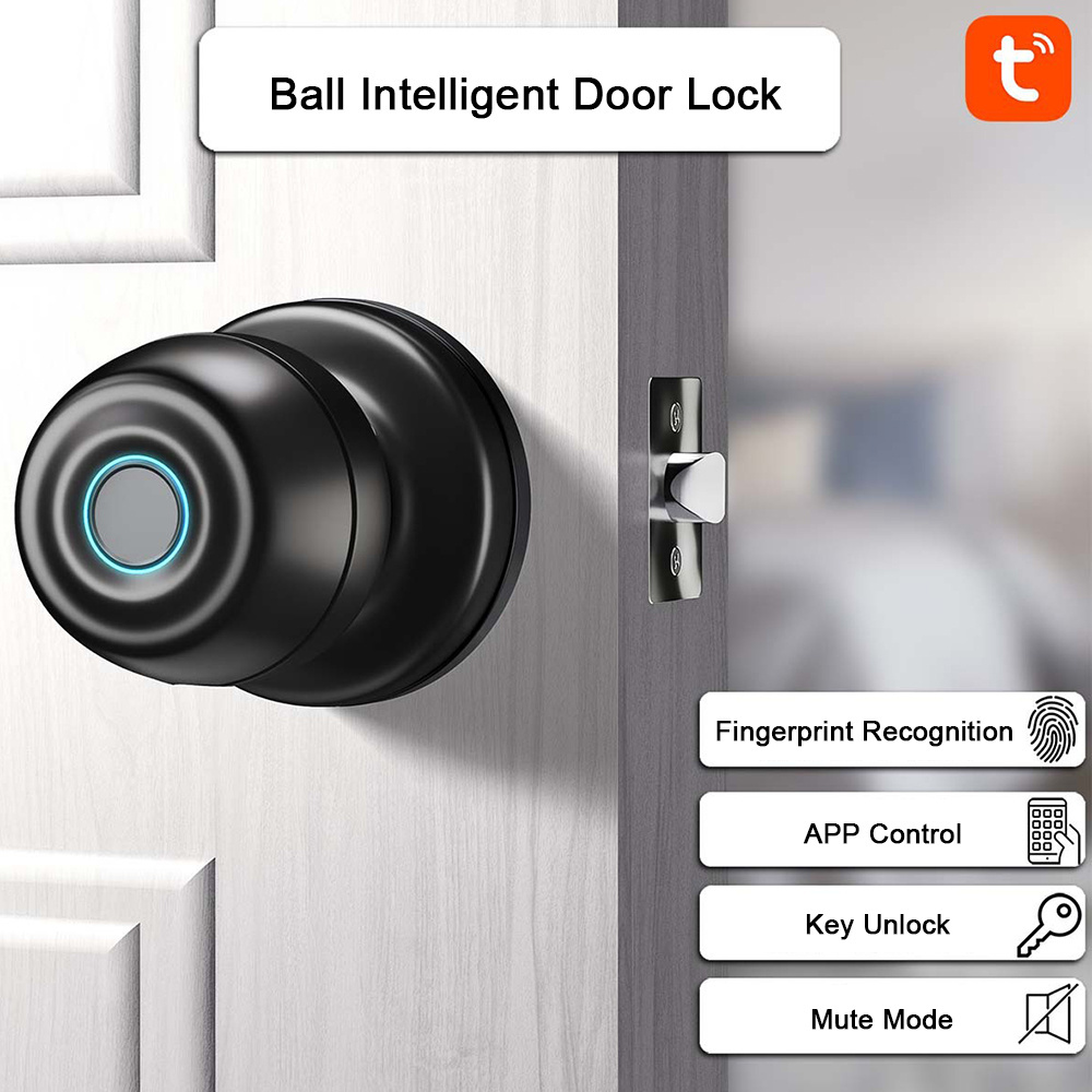 Tuya Ble Smart Door Lock Cylinder Auto Fingerprint Ball Smart Knob Key For Interior Doors