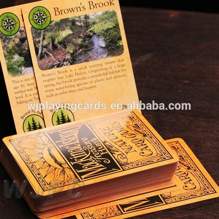 Custom New Tarot Card Decks Wholesale Halloween Energy Oracle Cards