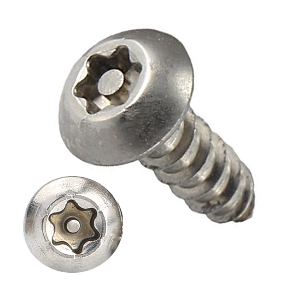 Custom Stainless Carbon Steel One Way Snake Eye Torx Pin Anti-Theft Safety Screws M3 M8 Tamper Proof Anti Theft Security Screws