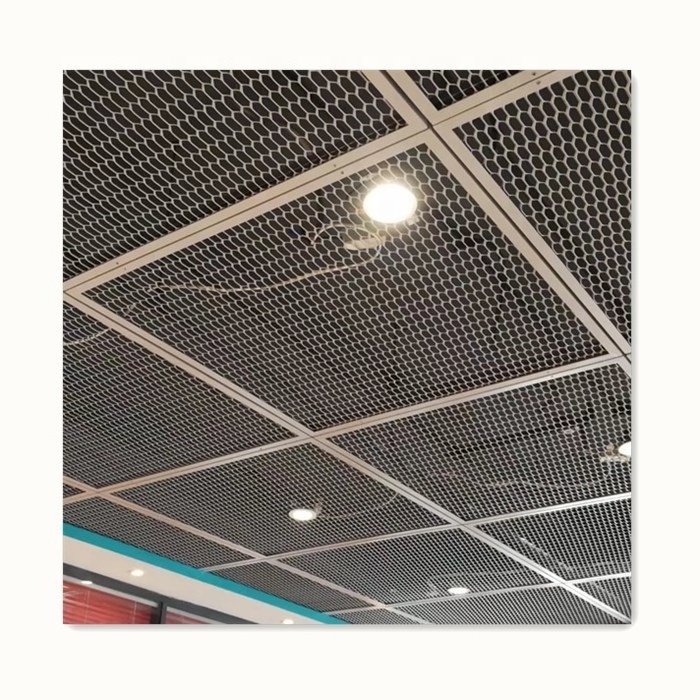 Decorative Expanded Metal Mesh Ceiling Systems