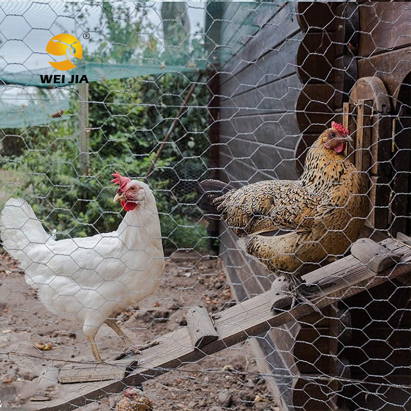 Factory direct Garden Fencing/Poultry Cage Used Hexagonal Wire Mesh Stainless Steel Chicken Wire Farm Rolled Poultry Netting