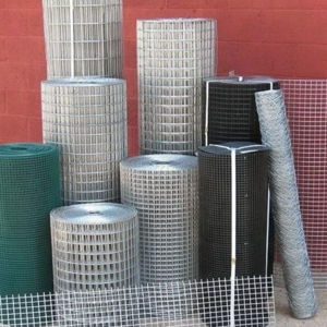 Chicken Fowl galvanized wire netting GI iron wire mesh