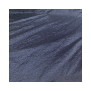 Economical Custom Design Ripstop Nylon Taffeta Fabric 100% Nylon Tracksuit Fabric Waterproof Taffeta Fabric for Clothing