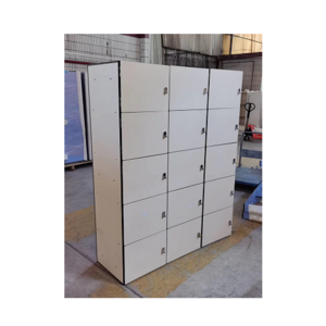 Hpl Board & Metal Frame Material  Luggage Storage Lockers Employee Outdoor Storage Locker