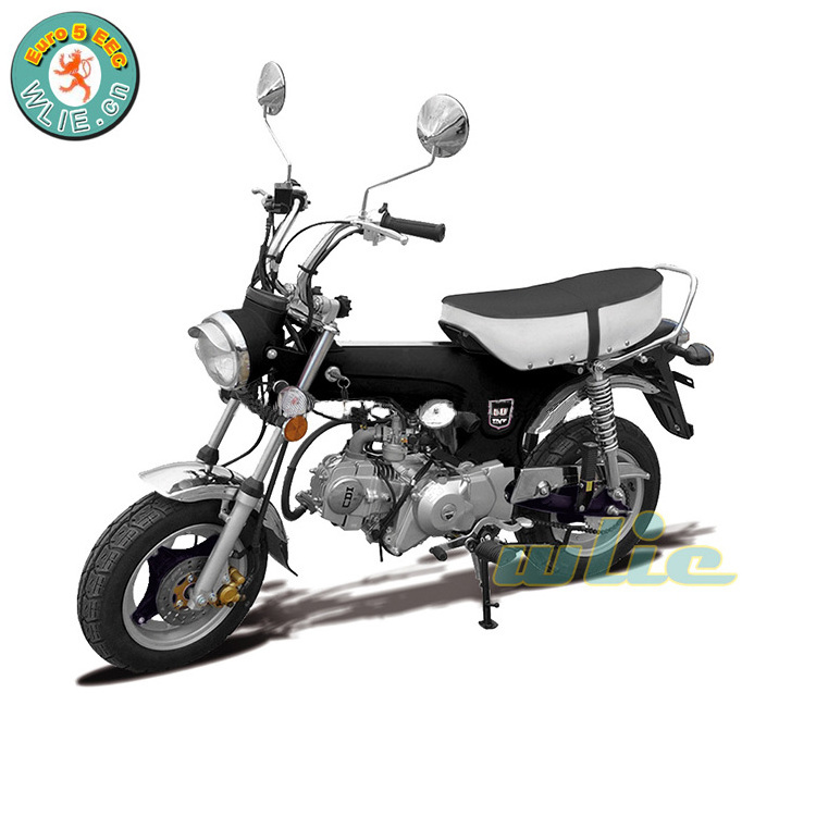 Euro 5 EEC COC And Gasoline Motorcycle Trike Factory Price Classic 125cc Street Bike