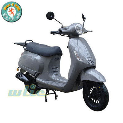 125cc mini motorcycle max scooter jog mblo Euro4 Euro 4 EEC COC Scooter Maple-2 (50cc, 125cc)