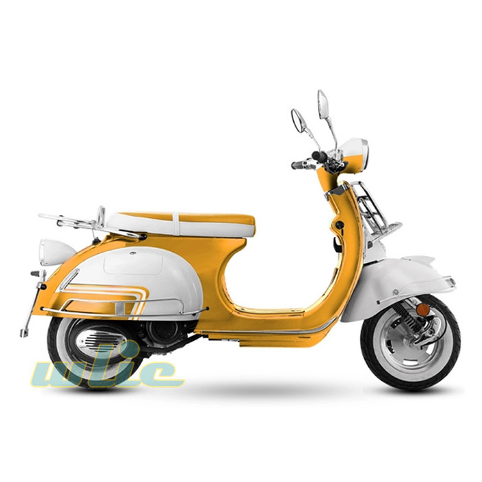 2019 New arrival 4 stroke gas powered skateboard scooter cooler petrol 125cc VES(Euro 4)