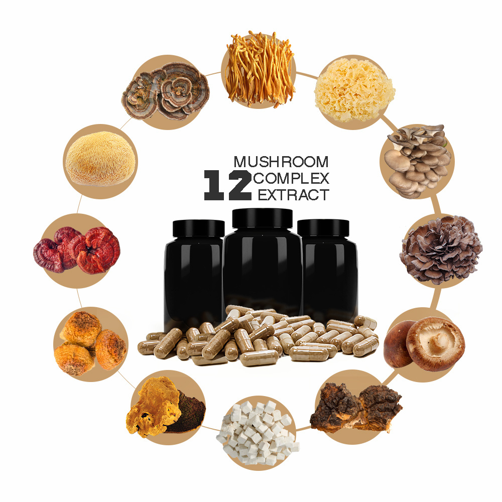 King Mushroom Complex Blend Extract Powder Vegetarian Capsules 12 in One Food Wuling Lion's Mane Mushroom Extract Fruit Body