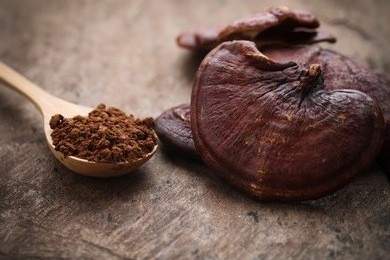 Reishi Ganoderma Lucidum Mushroom Extract Powder polysaccharide from Fruit body 30% Beta Glucan Reishi Extract Powder