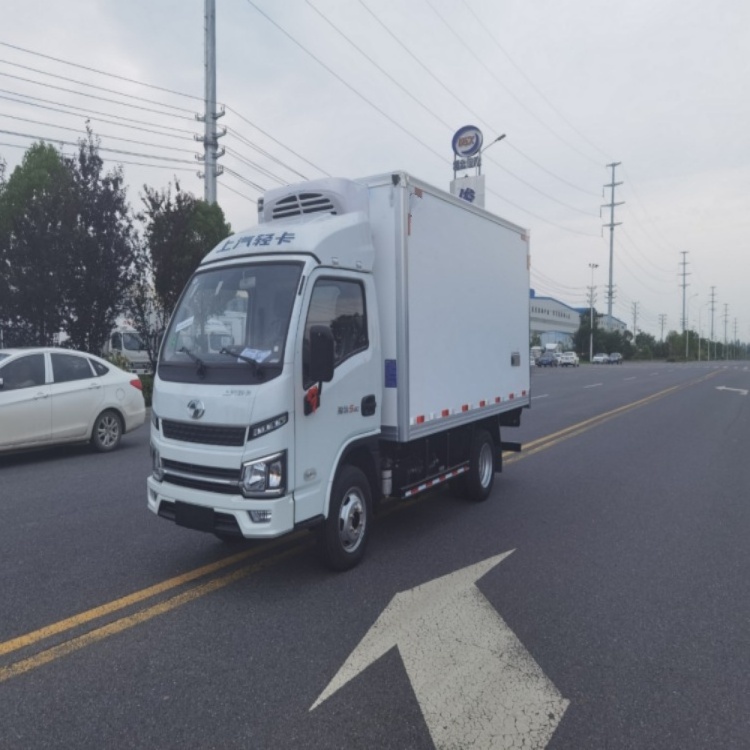 Small Diesel Flexible Refrigerated Delivery Truck for Efficient Refrigerator Truck Transport