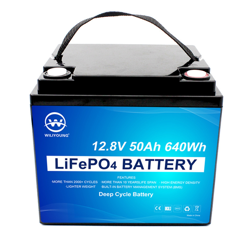 24V 36V 48V 60 V lithium battery 18650 lithium iron phosphate battery 72V electric vehicle battery