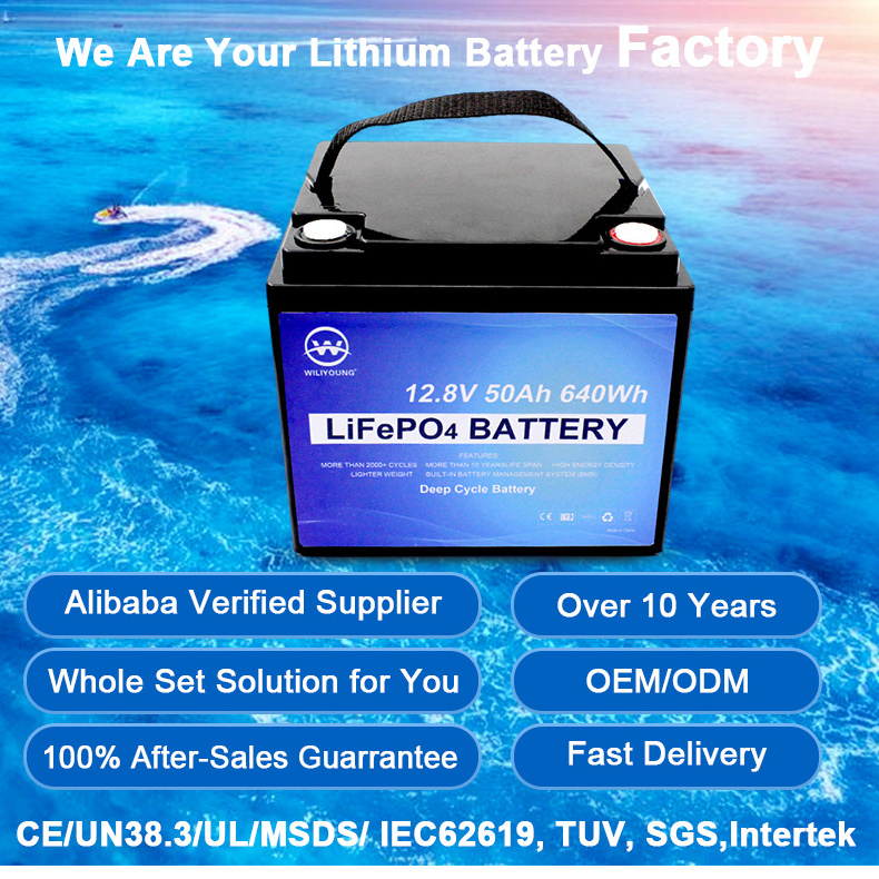 24V 36V 48V 60 V lithium battery 18650 lithium iron phosphate battery 72V electric vehicle battery