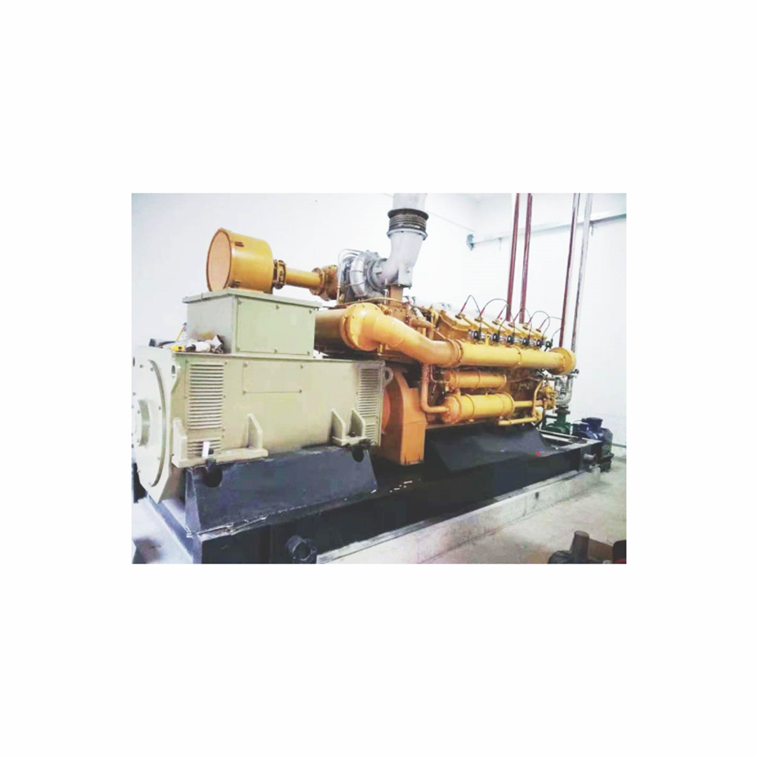 Hot Sale 1000Kw Pollution-Free Food And Kitchen Waste Natural Gas Power Generator for Home Use