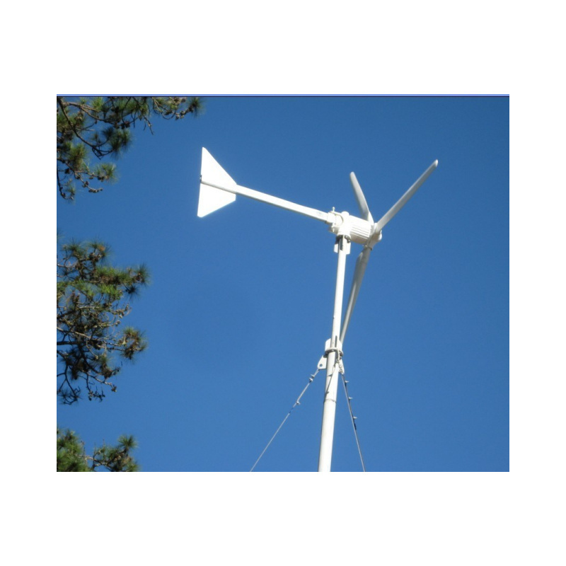 Fast Delivery Ridge blade Wind Turbine 12V Permanent Magnet Engine 1 MW Wind Turbine for Offshore