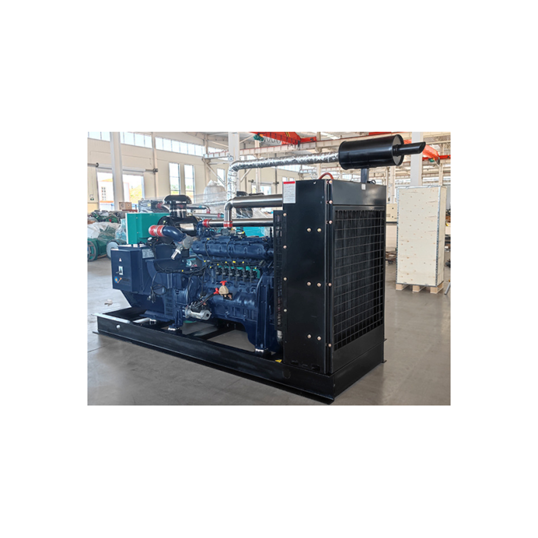 Hot Sale 1000Kw Pollution-Free Food And Kitchen Waste Natural Gas Power Generator for Home Use