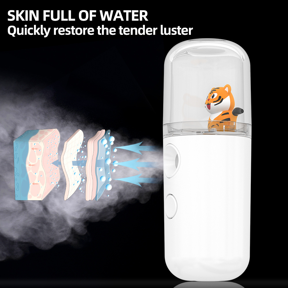 Private label 5 Colors Nano Mist Spray No Leaking Cooling Water Mister Face Steamer Portable Facial Steamer